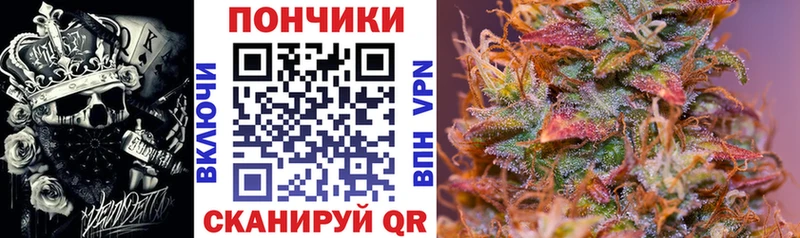 Магазины продажи наркотиков Черкесск Alpha-PVP  Меф  ГАШ  НБОМе  Кокаин 
